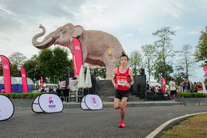 BIB: 
                            <button type="button" onclick="openModal(26528708)" class="btn btn-primary btn-sm float-right btn-popup" data-toggle="modal" data-target=".modal-high-quality">
                        <i class="fas fa-shopping-cart"></i> Add to Cart
                    </button>
                                            <button type="button" onclick="isThisMe(26528708, true)" class="btn btn-success btn-sm float-right btn-popup btn-isme hidden" data-toggle="tooltip" data-placement="bottom" title="นี่คือรูปของคุณใช่ไหม คลิกที่นี่เพื่อเอาเข้าอัลบั้ม">
                        <i class="fas fa-plus"></i> Add to album
                    </button>
                    <button type="button" onclick="isThisMe(26528708, false)" class="btn btn-warning btn-sm float-right btn-popup btn-isnotme hidden">
                        <i class="fas fa-ban"></i> Remove from album
                    </button>